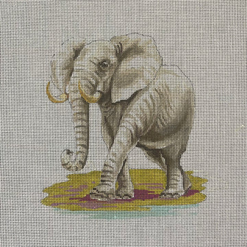 Elephant  AN487