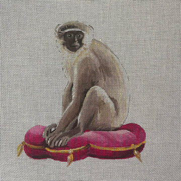 Monkey On Cushion  AN477