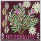 Rosemary  M-1926