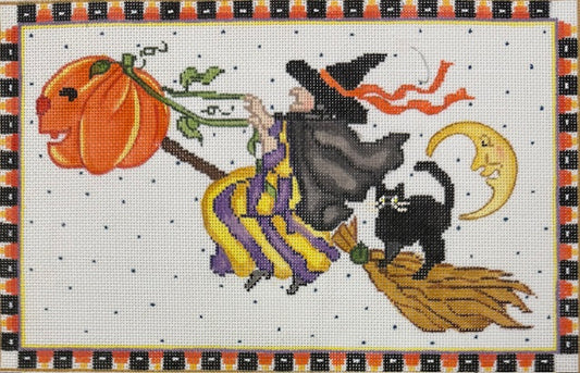 Wild Ride on a Broom UNK1105