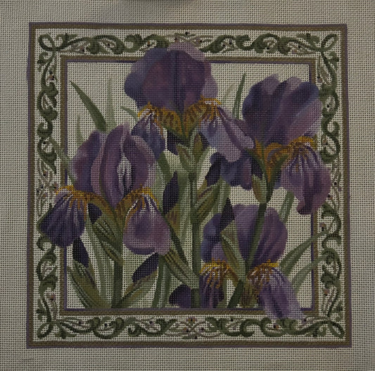 Purple Iris TTAP381