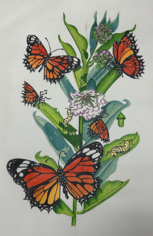 Monarch Gathering B103