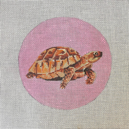 Turtle On Pink  IN816