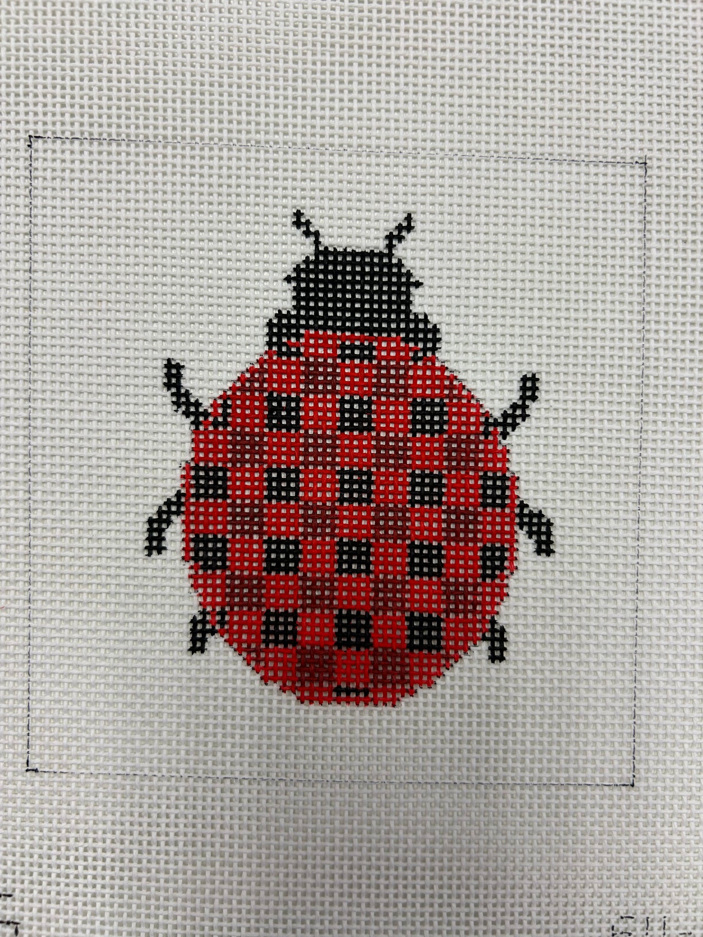 Ladybug Beginner SV-055