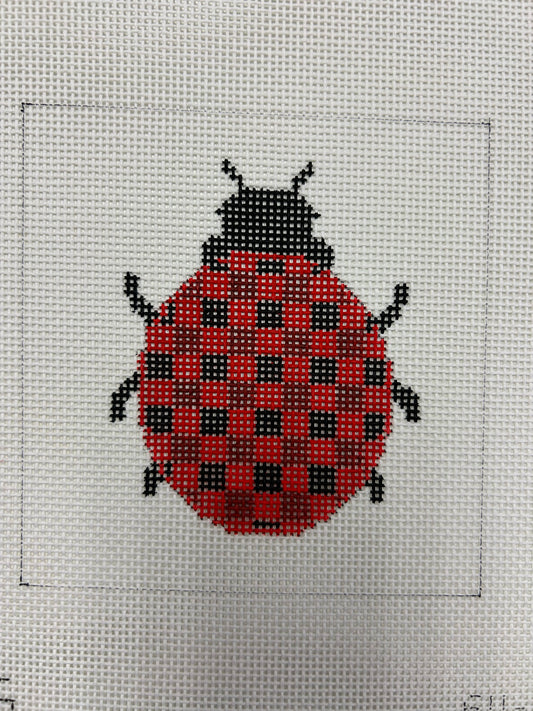 Ladybug Beginner SV-055