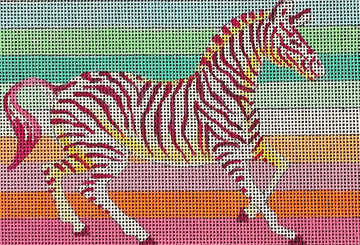 Rainbow Zebra  IN901