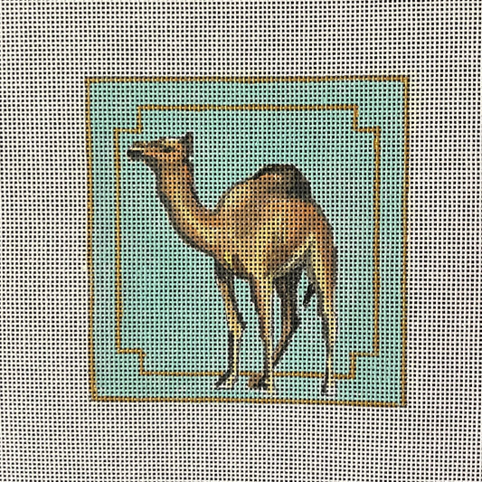 Camel Coaster  IN459