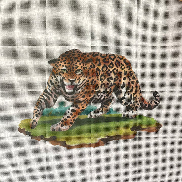 Fierce Leopard   AN505