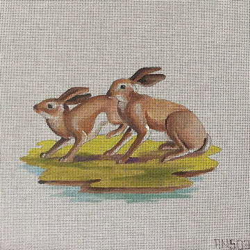 Rabbits  AN503