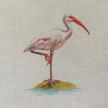 Stork  AN501