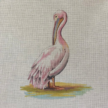 Pelican   AN496