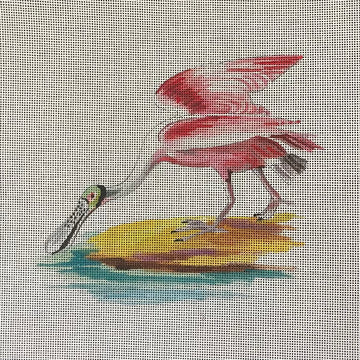 Spoonbill  AN488