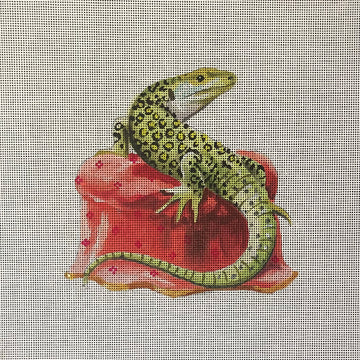 Lizard  AN486