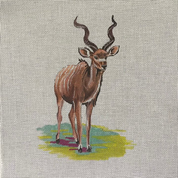 Kudu  AN482