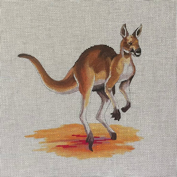 Kangaroo  AN481