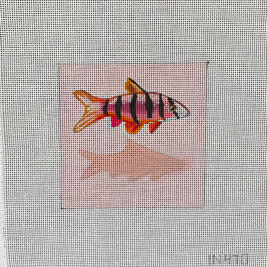 Fish Coaster  IN470