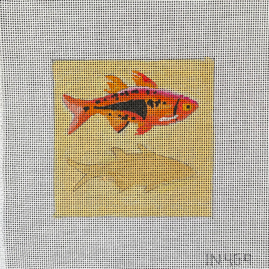 Fish Coaster  IN479