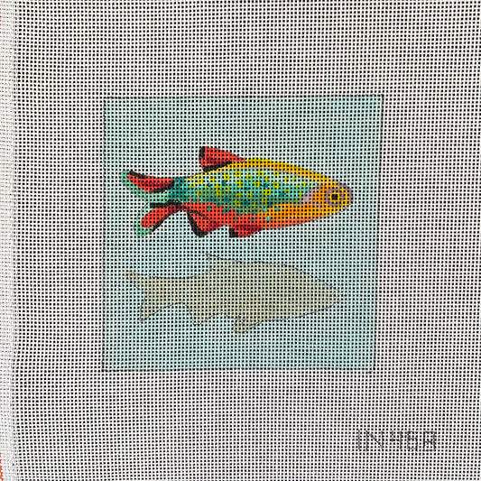 Fish Coaster  IN478