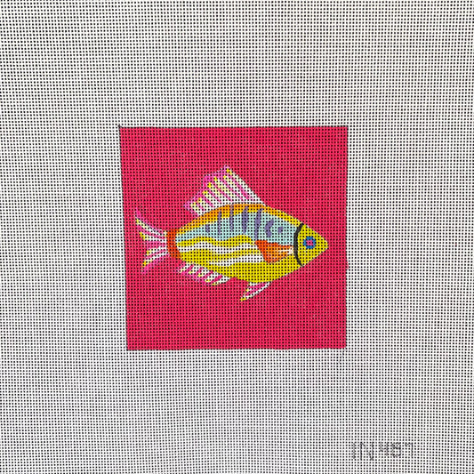 Fish Coaster  IN477