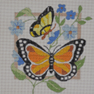 Orange Butterfly J-43