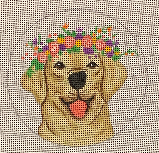 Golden Lab JA-04