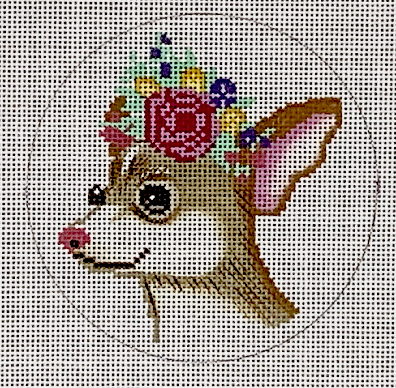Chihuahua JA-08