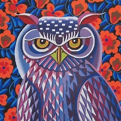 Owl J-01-13 JTS-01-13