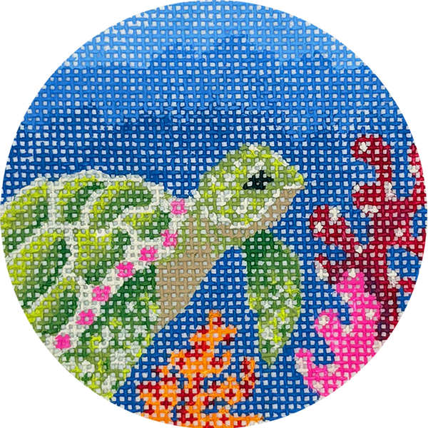 Sally Sea Turtle  KC-KCBJ22