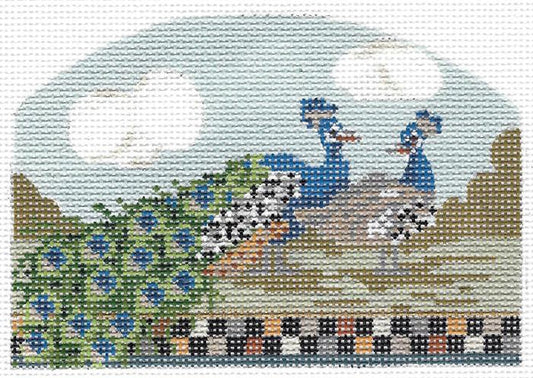 Noah's Peacocks  KC-KCN2711