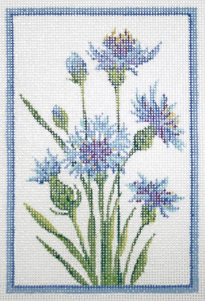 Germany Cornflower  KC-KCN401-18