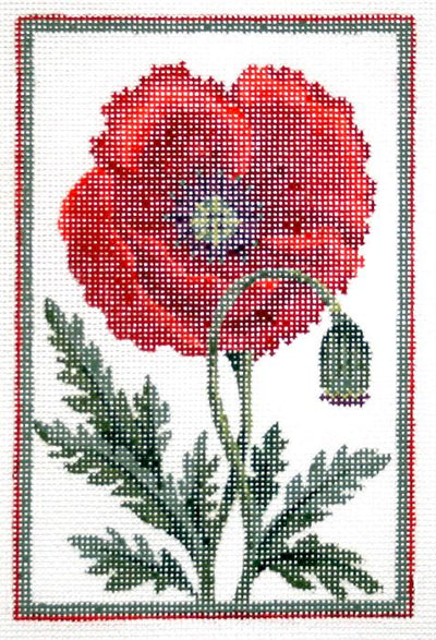 Belgium Poppy  KC-KCN402-18