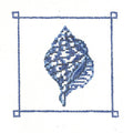 Marine Blue Tulip Shell  KC-KCN951-18