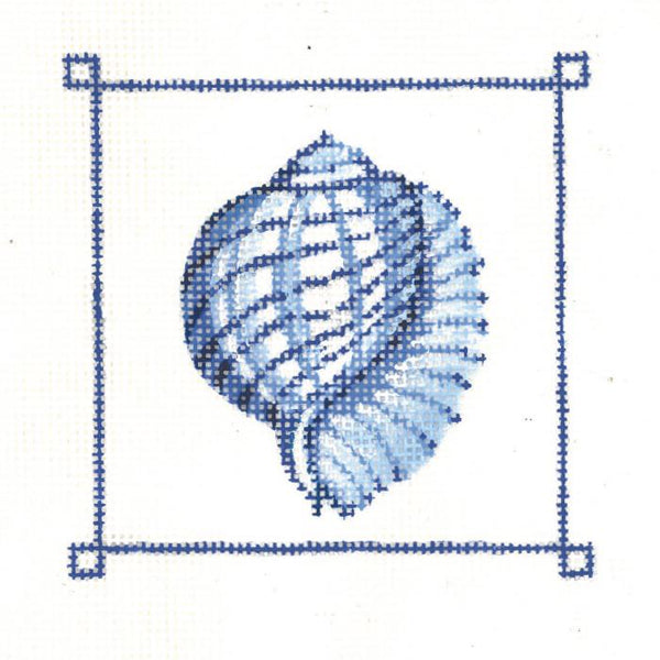 Tiger Chambered Nautilus w x h  KC-KCN953-13