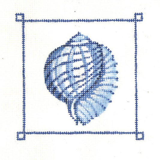 Tiger Chambered Nautilus w x h  KC-KCN953-13