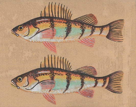 Yellow Perch & Fly  LD-4324