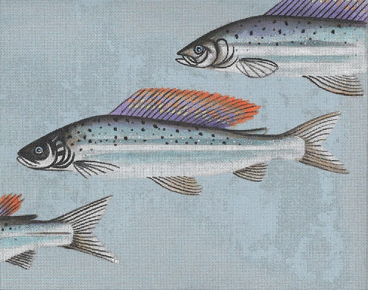 Arctic Char & Fly  LD-4327
