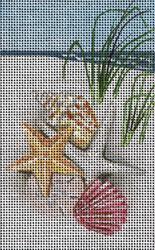 Beach Beauties  LD-7620