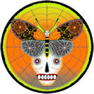 Halloween Skeleton M-2206