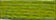 NPI Silk NPI-100 - NPI-299