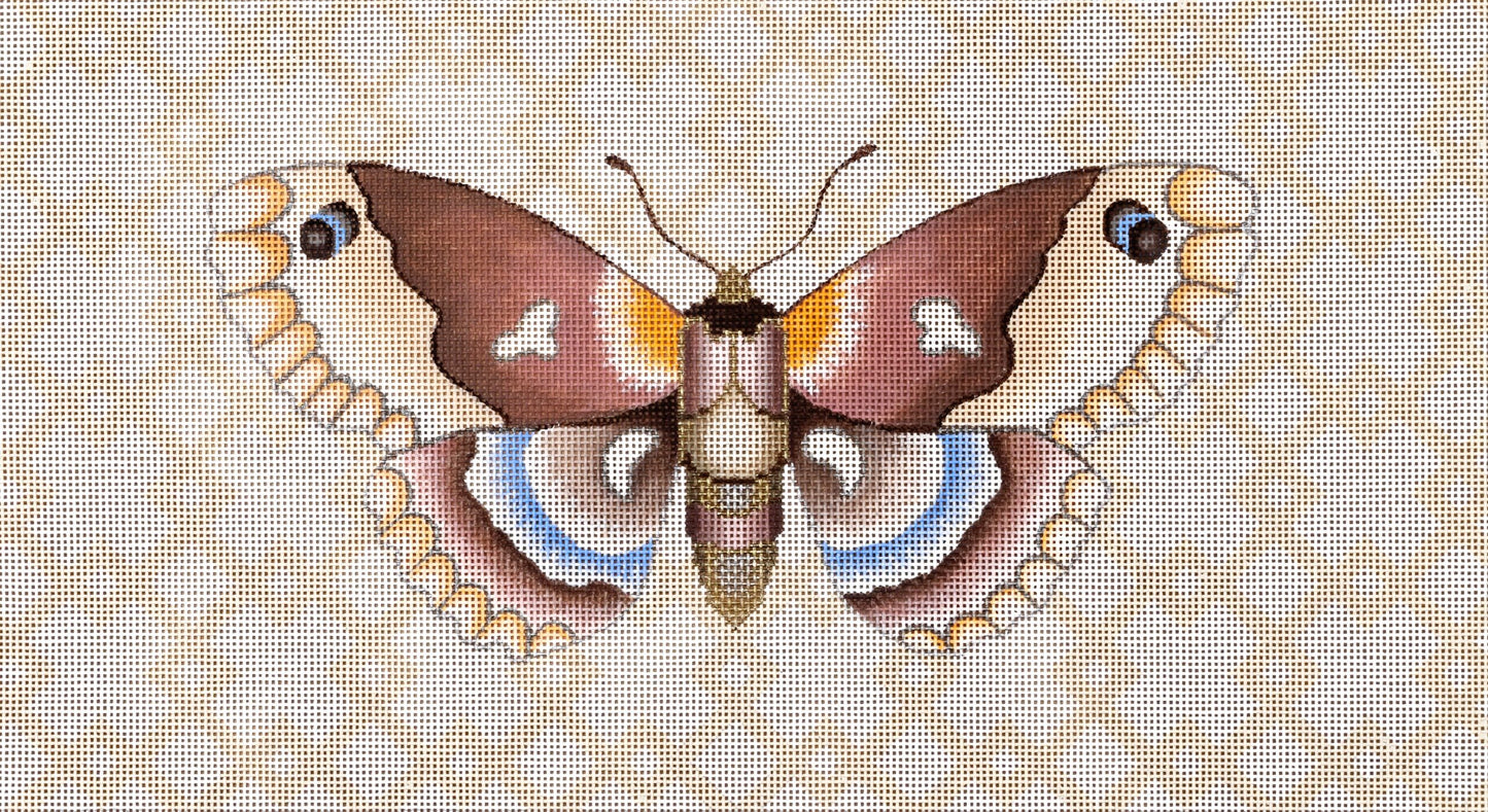 Moth w/Geo NH-92