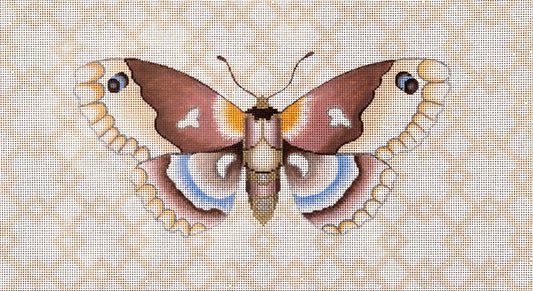 Moth w/Geo NH-92