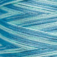Weeks Dye Works Hand Dyed Pearl Cotton #5 2100 - 4199