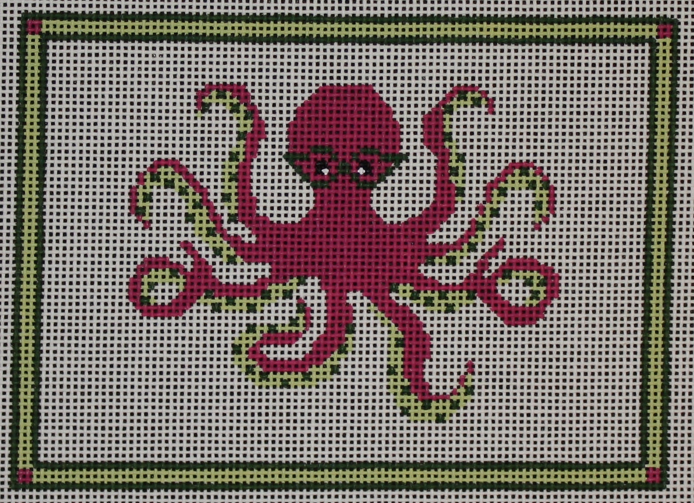 Octopus PIL262