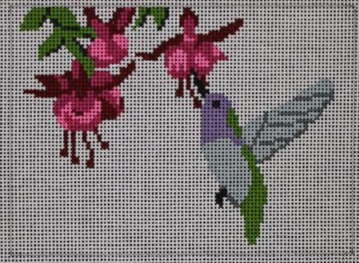 Hummingbird PIL264