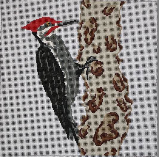 Woodpecker PIL267