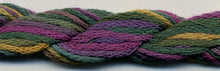 Dinky Dyes Stranded Silk 100 - 199