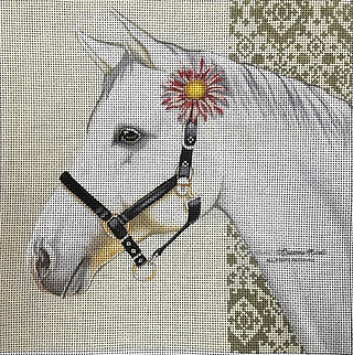 Animals: Equestrian Grey SNAN23