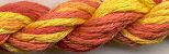 Silk N Colors 100 -199