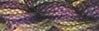 Caron Collection Wildflowers 200 - 299