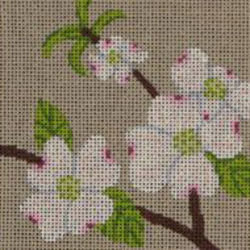 Dogwood CTR103